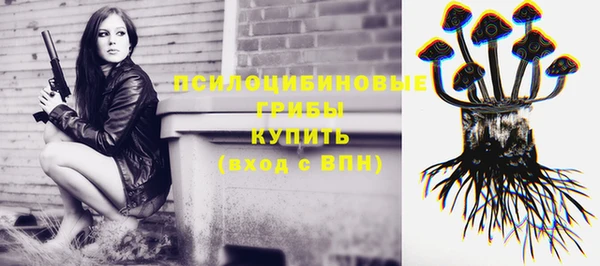 а пвп мука Дмитриев