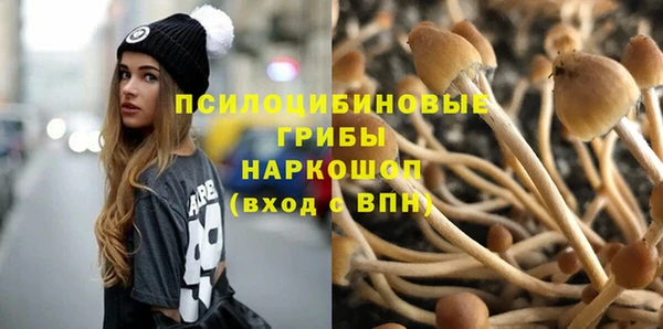 дживик Инта