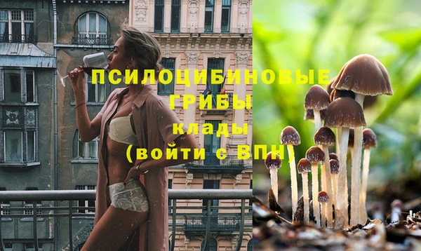 гашишное масло Дмитровск