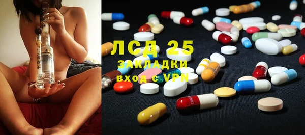 хмурый Инсар