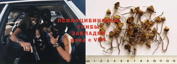 прущий лед Дмитров