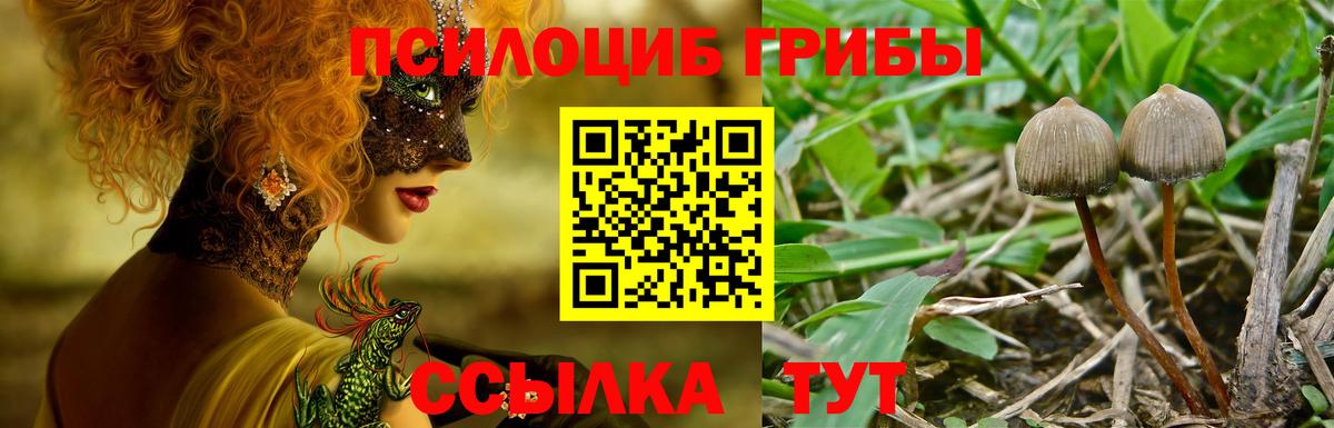 Псилоцибиновые грибы MAGIC MUSHROOMS Елизово